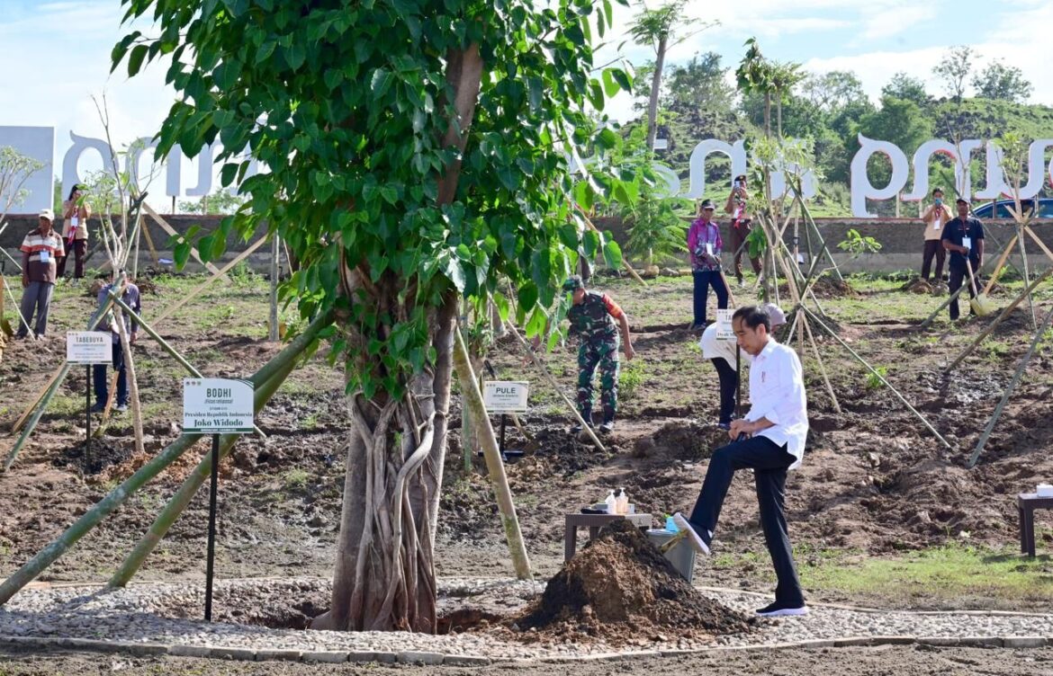 Tanam Pohon Bersama Masyarakat, Presiden: Ini Tindakan Nyata Hadapi Perubahan Iklim